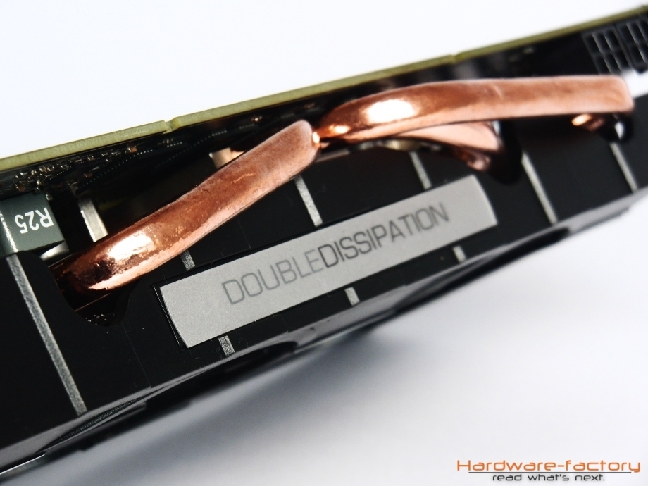 Neu: Double Dissipation