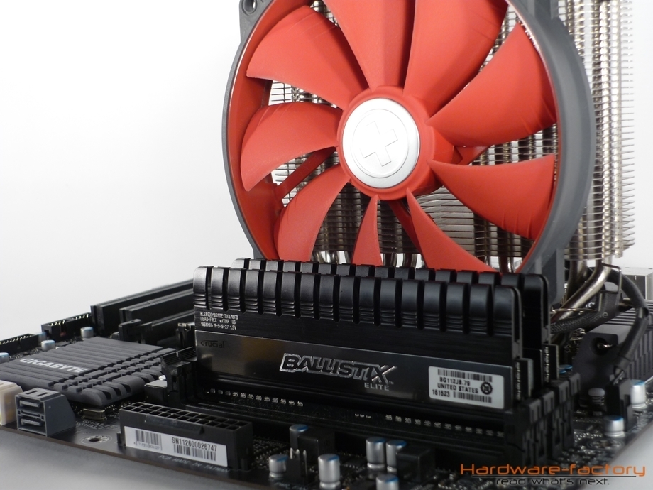 Es ist angerichtet: Die Crucial Ballistix Elite düften rein optisch jedes System verfeinern